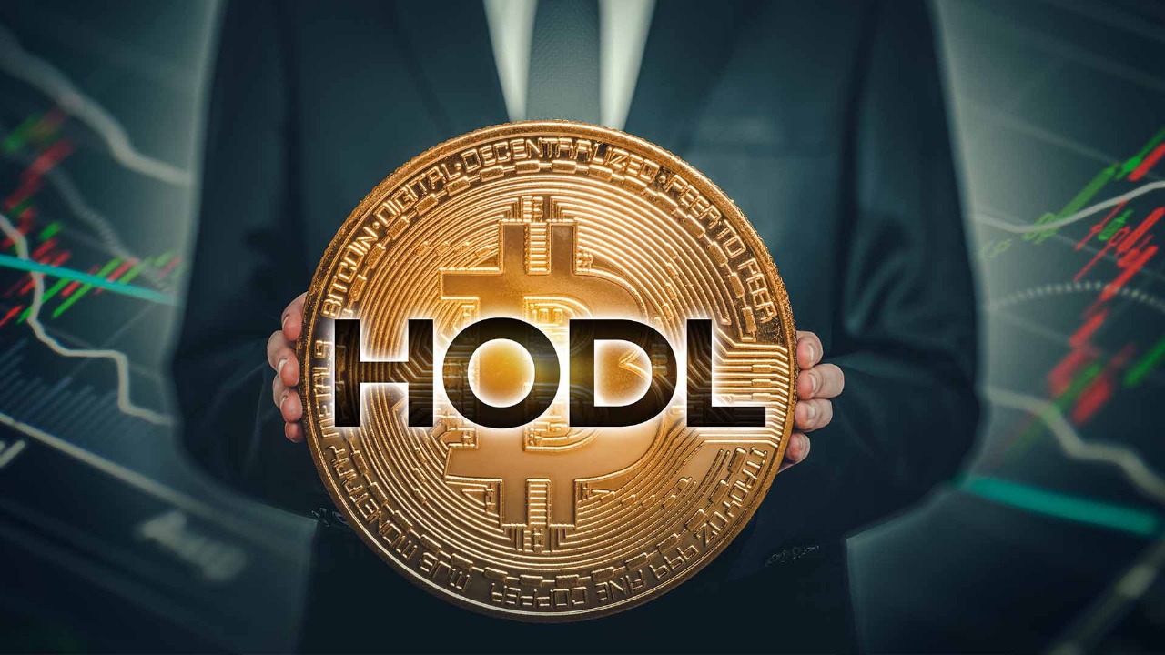 What is HodLing crypto strategy? HODL crypto 